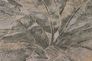 Vliestapete-Blaetter-Farn-anthrazit-beige-Glanz-36927-1-191361_1 2