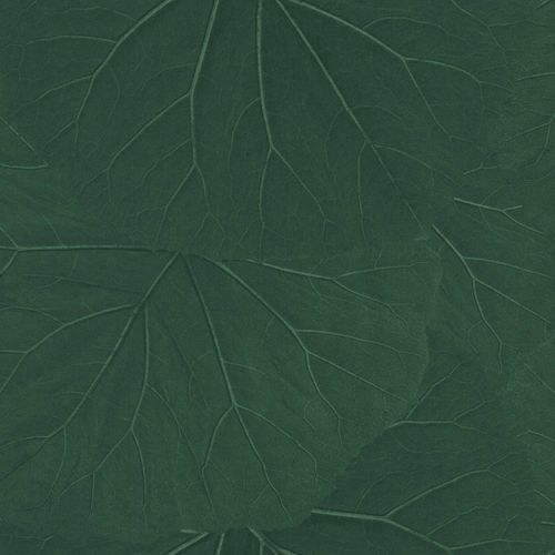 Wallpaper Sample 138997