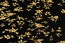 Artikelansicht Vinyltapete Versace Home 4 Blumen 935854 2