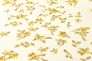 Picture Vinyl Wallpaper Versace Home 4 Flowers 935855 2