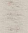 Image Non-Woven Wallpaper Concrete Patina Metallic ON4202 1