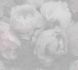 Wallpaper non-woven flowers grey white 37392-3 2