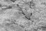 Wallpaper non-woven tendrils with flowers grey 37420-1 3