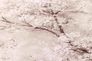 Wallpaper non-woven tendrils flowers lightpink 37420-4 3