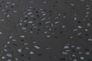 Wallpaper Sample 37394-5 3