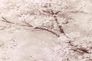 Wallpaper Sample 37420-4 3