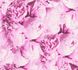 Wallpaper Sample 37398-1 2
