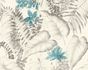 Tapete-Vlies-37279-2-Floral-Exotik-Blumen-weiss-braun-63202803_3 2