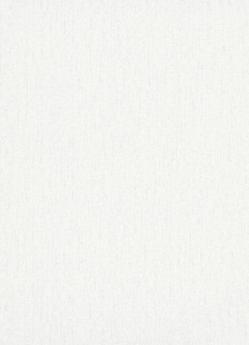Wallpaper 10072-01 - unicoloured white silver