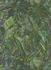 Wallpaper Sample 10081-07 2