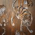 Tapete-Vlies-Marburg-Tiger-braun-weiss-metallic-84867-63204735_3 4