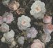 Wallpaper non-woven flowers black white green 37650-5 2
