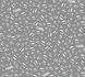 Wallpaper Sample 37843-2 1