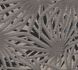 Tapete-Vlies-Palme-Blaetter-grau-schwarz-Glitzer-37861-2-63206693_1 1