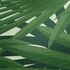 Tapete-Vlies-Palme-Blaetter-weiss-gruen-Glitzer-37861-3-63206694 2