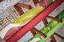 Non-Woven Wallpaper Floral Leaves green red 37862-1 6