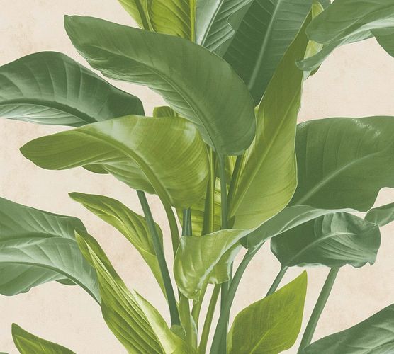 Non-Woven Wallpaper Floral Leaves green cream 37862-3