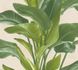 Tapete-Vlies-Floral-Blaetter-gruen-creme-37862-3-63206698_3 1