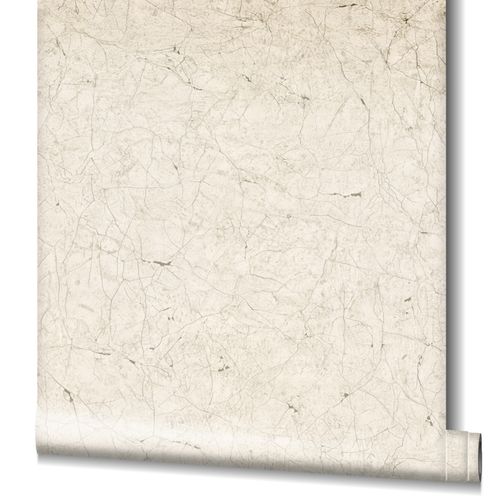 Tapete-Vlies-Risse-Putz-Optik-beige-grau-32802-63207643_2