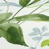 Non-Woven Wallpaper Leaves Jungle green white 37704-1 3