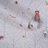 Roll Image Kids Wallpaper Animals Forest grey brown white 38119-1 2