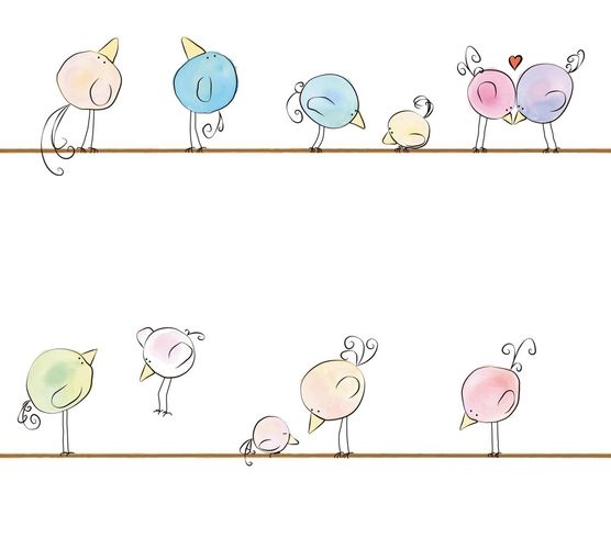 Image Kids Wallpaper Animals Birds colourful white 38137-1