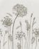 Fototapete Blumen Floral grau weiß beige 32750 2