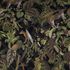 Illustration Non-Woven Wallpaper Michalsky Plants green black 37990-1 2