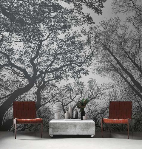 Image Photo Wallpaper Forest Trees Floral grey black 38240-1