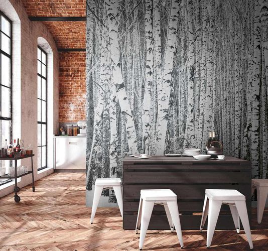 Picture Photo Wallpaper Birch Logs Trees Snow grey 38259-1