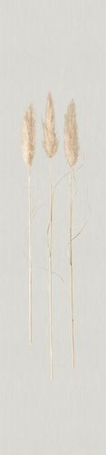 Artikelbild Fototapete Panel Gräser Floral grau braun 33280