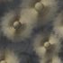 Photo Wallpaper ELLE Sun Circles black Metallic 10191-15 3