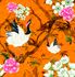 Image Photo Wallpaper Bird Tree orange white pink Falina