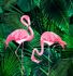 Image Photo Wallpaper Flamingos Leaves green pink Lesley