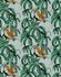 Image Photo Wallpaper Monkeys Jungle grey green Leilani
