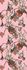Image Photo Wallpaper Monkeys Fruits pink brown green Dana