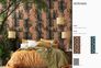 Info Image Photo Wallpaper Floral Tendrils orange black Adriana