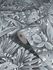 Artikelansicht Vliestapete Blätter Dschungel Floral grau-blau 33306 4
