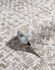 Produktbild Vliestapete Bast Holz Rattan beige braun 33309 4