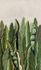 Image Photo Wallpaper Leaves Pop-Art Floral green grey 47205 2