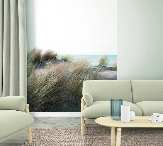 Picture Photo Wallpaper Dune Grassses Sea brown green blue 47219