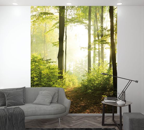 Picture Photo Wallpaper Forest Clearing Trees green brown 47221