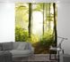 Picture Photo Wallpaper Forest Clearing Trees green brown 47221 1