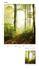 Illustration Photo Wallpaper Forest Clearing Trees green brown 47221 3