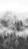 Image Photo Wallpaper Forest Trees Fog grey white 47268 2