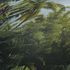 Non-Woven Wallpaper Jungle Leaves dark green 38356-1 3