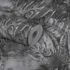 Non-Woven Wallpaper Jungle Leaves grey 38356-4 4