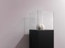 Raumbild Erfurt Variovlies Tapete Sand Fein 18,75 m² | 75m² 4
