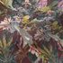 Non-Woven Wallpaper Animals Flowers red 38176-5 3