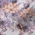 381772 38177-2 Tapetenrolle Floral Vintage 3